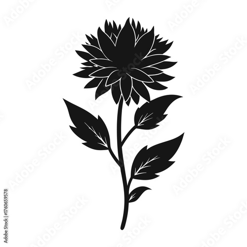 Delicate Wood Aster Flower Vector Illustration for Nature and Garden Inspired Artwork
