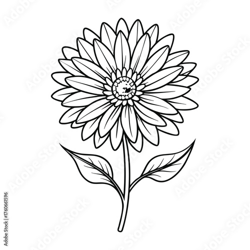 Blooming alpine aster flower vector graphic with soft petals and nature inspired composition