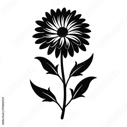 Vector illustration of alpine aster flower with realistic petals and elegant botanical element