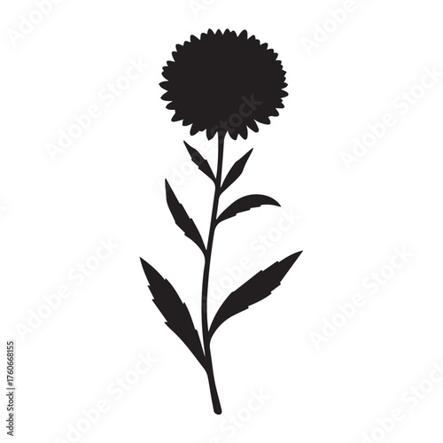 Elegant New England Aster Vector Artwork with Blooming Flowers and Green Foliage