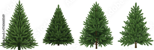 Christmas Tree Vector Set: Realistic Pine Fir Trees and Cute Cartoon Decorated Holiday Icons.