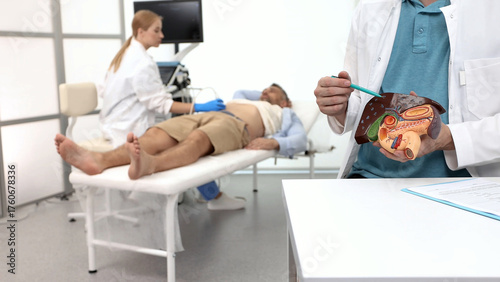 Anatomical model of liver and gallbladder on background of process of ultrasound examination of liver and gallbladder of adult man with ultrasound doctor