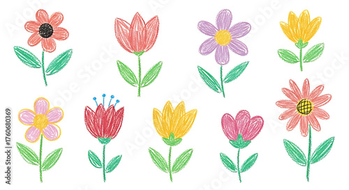 Colorful Crayon Flower Doodles, Hand Drawn Floral Illustration Set on White Background