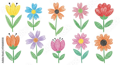 Colorful Crayon Flower Doodles, Hand Drawn Floral Illustration Set on White Background