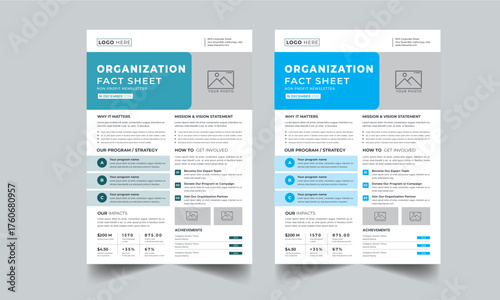 Nonprofit Organization Fact Sheet layout design template with 2 colors design concept