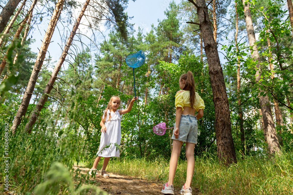 Fototapeta premium Two little girls catching insects with nets in forest