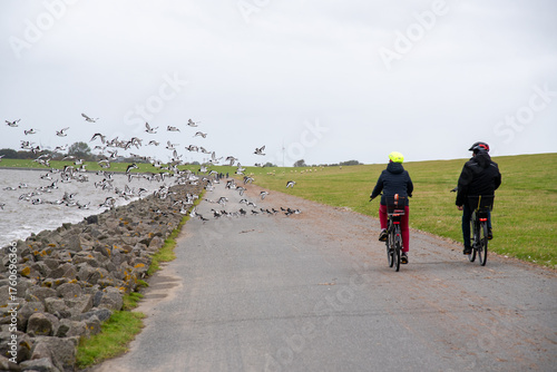 Radfahrer im Wattenmeer