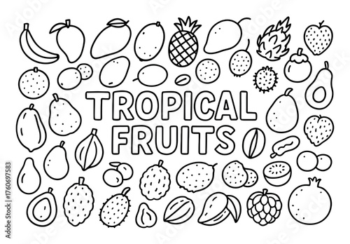 Tropical Fruits Doodle