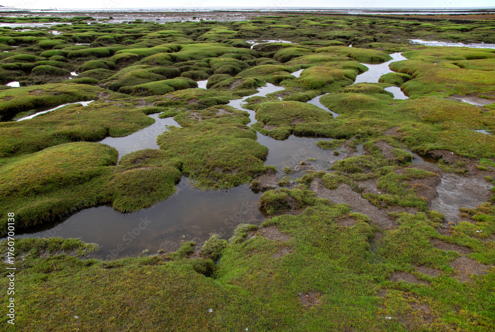Naklejka premium Wattenmeer