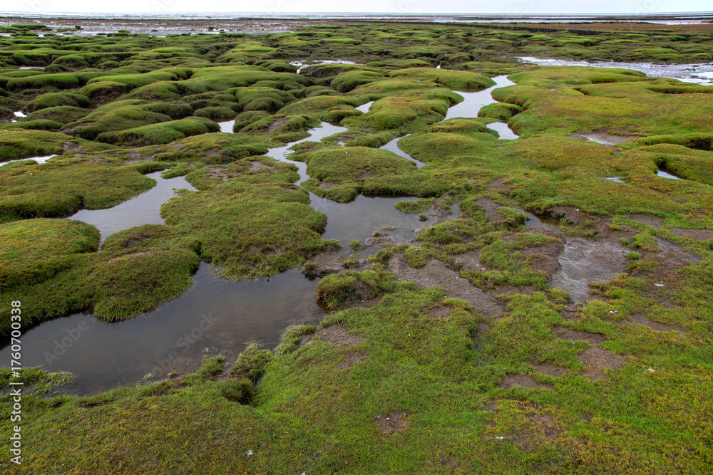 Naklejka premium Wattenmeer