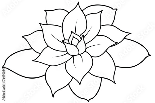 Succulent Line Art Illustration - Echeveria Rosette Outline Black and White Vector