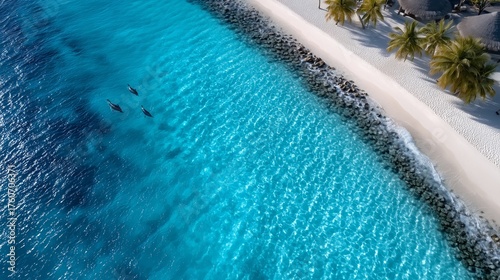 A group of dolphins swimming in the ocean near a beach
