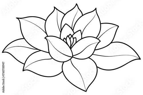 Succulent Outline Drawing - Blooming Echeveria Line Art Black and White Vector