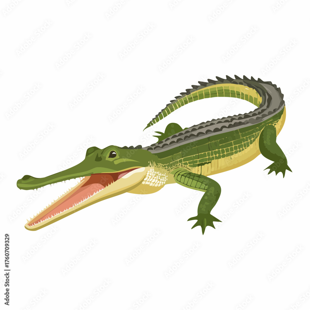 Fototapeta premium Gharial, eine große fischfressende Krokodilart des indischen Subkontinents