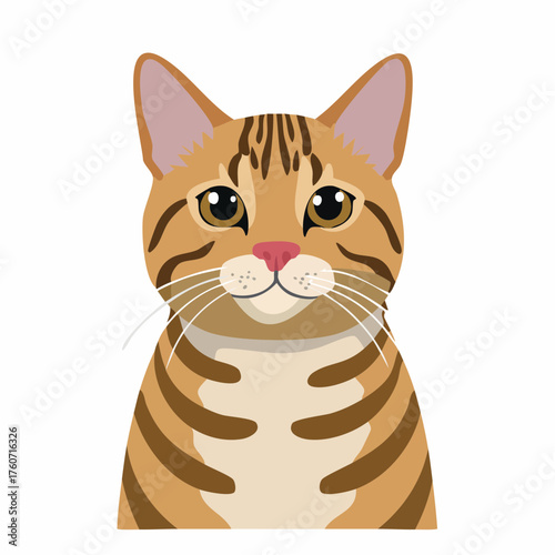 Bengal-Katze