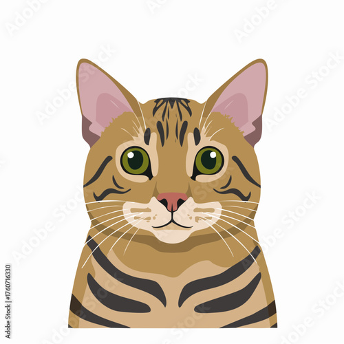 Bengal-Katze