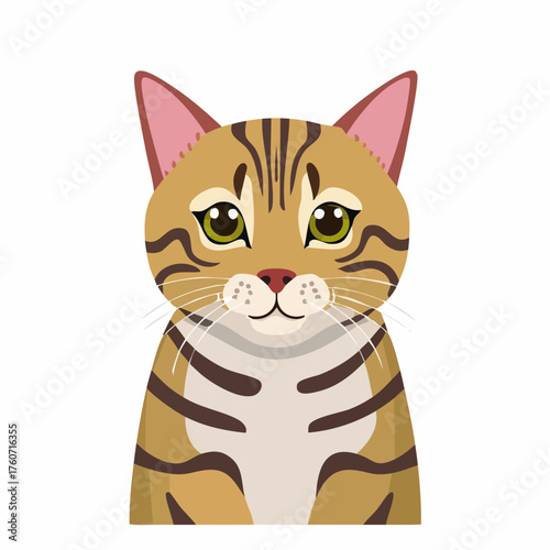 Bengal-Katze