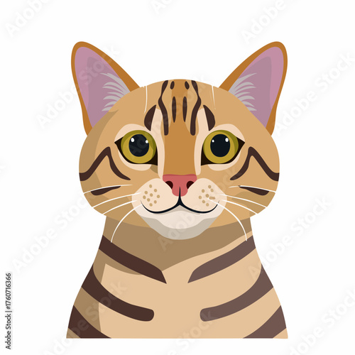 Bengal-Katze