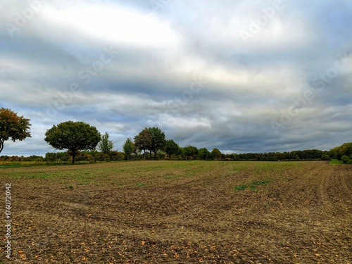 field and sky