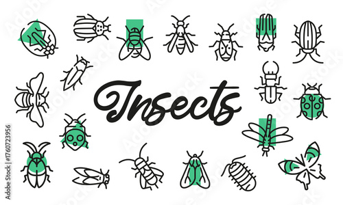 Insects poster. Insects banner design with bug icons. Butterfly, Beetle, Fly, Ant, Wasp icons. Simple poster for presentations, covers. Banner template. Vector illustration.