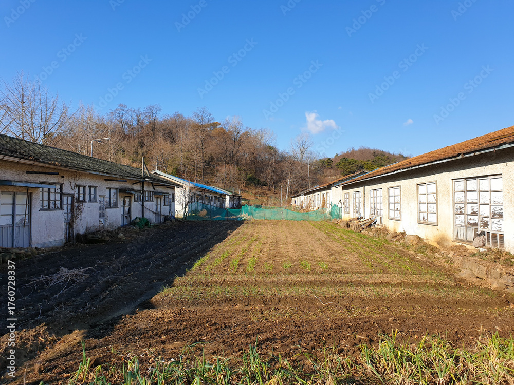 Obraz premium Typical residential house exterior in urban South Korea, showing everyday urban living environment.