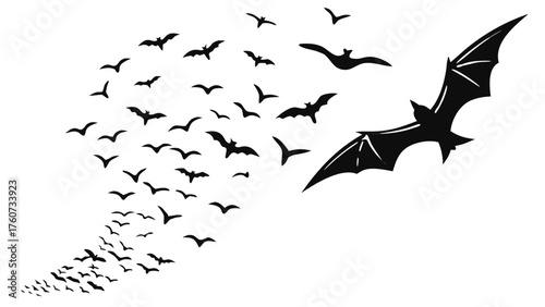 Flying Bat Swarm Silhouettes in Multiple Formation Patterns and Flight Direction Variations