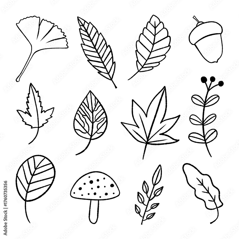 Fototapeta premium Decorative Fall Leaf Doodle Art, Hand-Drawn Autumn Botanical Line Illustration