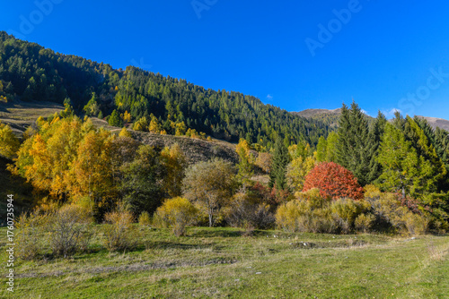 High mountain panorama in late summer, early autumn, with green and yellow larches, blue sky, in the Swiss Alps.