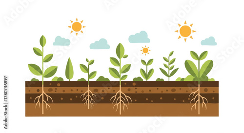 Vibrant vector illustration of green plants in various growth stages, deeply rooted in fertile soil with sun and clouds, symbolizing natural development and ecological vitality