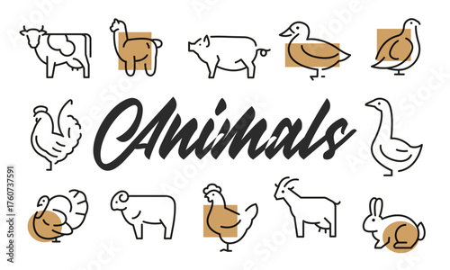 Animals poster. Animals poster design with Cow, Pig, Duck, Chicken, and Rabbit icons. Simple poster for presentations, covers. Banner template. Vector illustration.