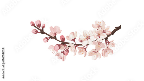A branch with pale pink cherry blossoms and buds against a white background in a simple flat style