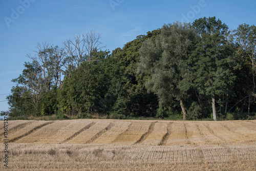 Meadows after autumn harvest