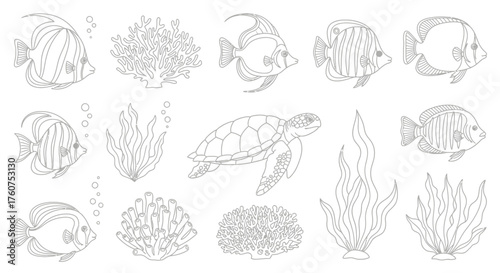 Detailed illustration of ocean life featuring fish coral and a turtle