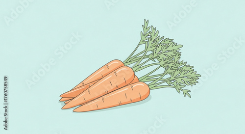 Three fresh carrots with green tops isolated on a light blue background hand drawn vector illustration in a simple, minimalist style