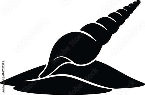 Vector auger shell silhouette in black and white illustration