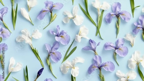 Discover the elegance of flowers in this beautiful video. Enjoy the calming colors and intricate details. Perfect for anyone looking to appreciate nature. AI