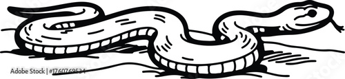 Vector snake crawling on the ground black silhouette illustration