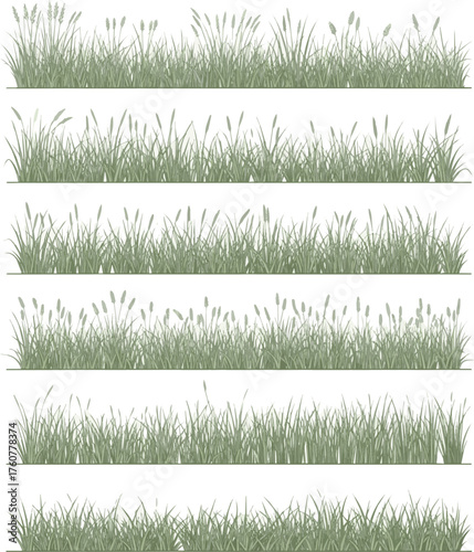 Isolated a kinds of deferent grass line bander, vector in side view painting botanical for section and elevation art vector art with white background..