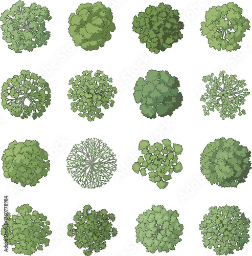 Isolated a kinds of deferent Vector tree top view isolated on white background for landscape plan and architecture layout drawing, elements for environment and garden vector art with white background.