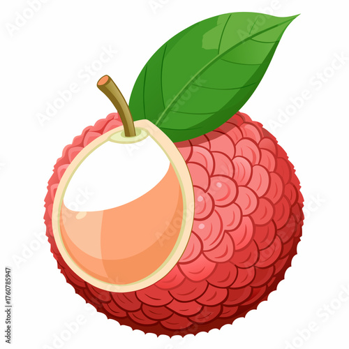 Single Litchi Vector