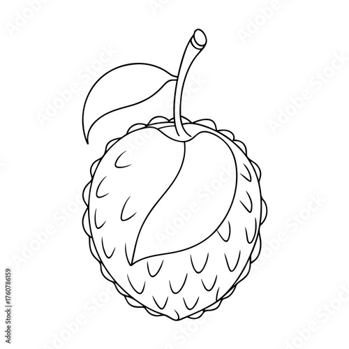 Litchi Line Art