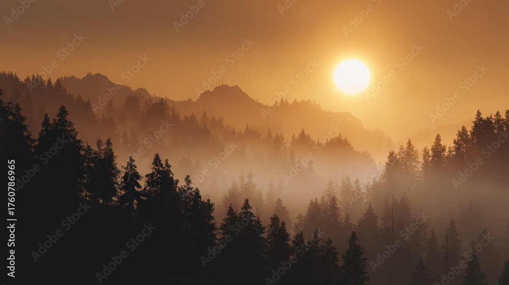 Obraz premium sunrise over misty mountain forest 1