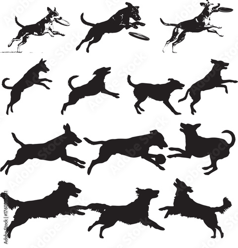 Dog playing on field silhouette 