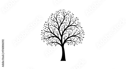 Black silhouette of a large deciduous tree with many small leaves