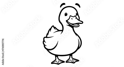 A happy little duckling standing on its webbed feet