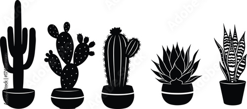 Cactus and succulent silhouette, potted plant vector, black botanical icons, desert flora illustration, indoor greenery design, nature decor elements