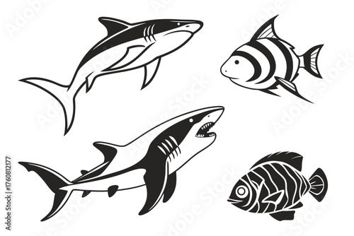 set of fish