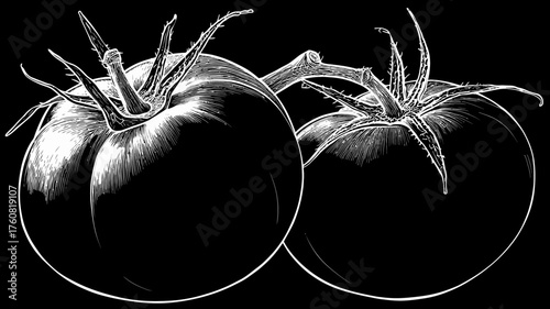Vintage scratchboard illustration of two fresh tomatoes, monochrome engraving style. Detailed black and white vegetable produce food art.