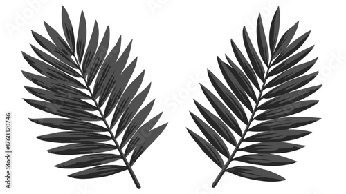 Symmetrical dark palm leaves vector illustration, isolated on white background. Tropical exotic foliage graphic design element for summer designs.