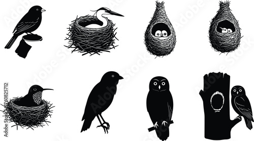 Bird silhouettes, nest illustrations, wildlife vector, perched birds, hanging nests, crow, owl, tree hollow, nature clipart, animal behavior study